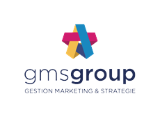 Logo GMS Gestion Marketing Stratégie