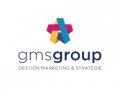 Logo GMS Gestion Marketing Stratégie