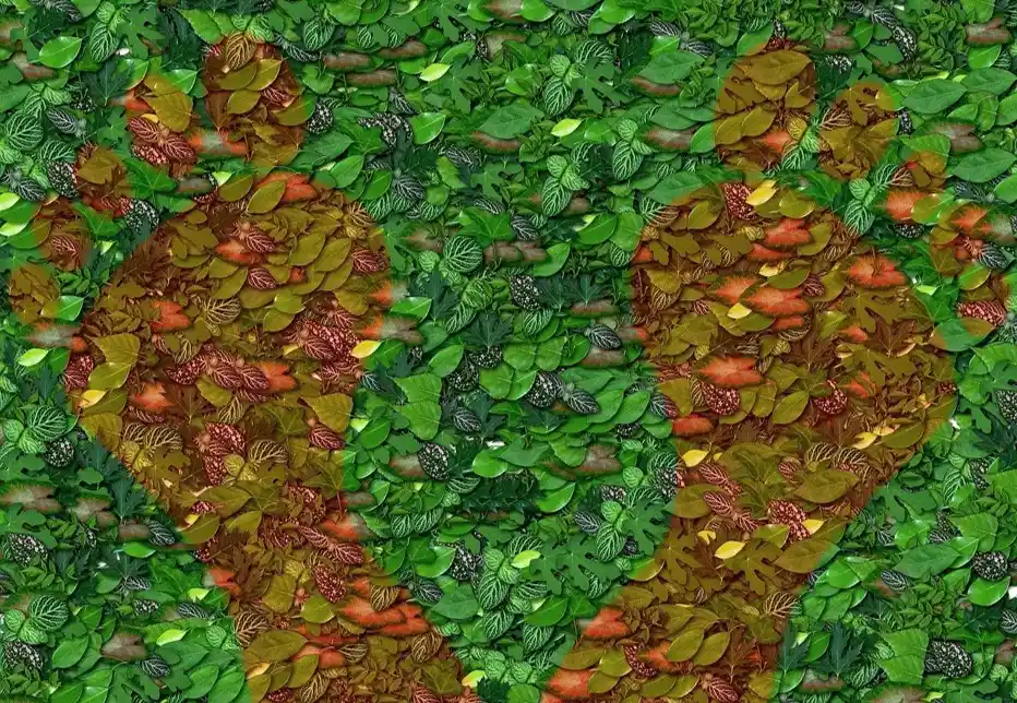 bilan carbone visuel footprint