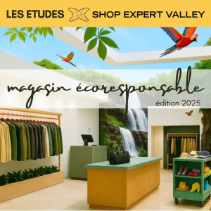 vignette étude magasin ecoresponsable 2025(1)